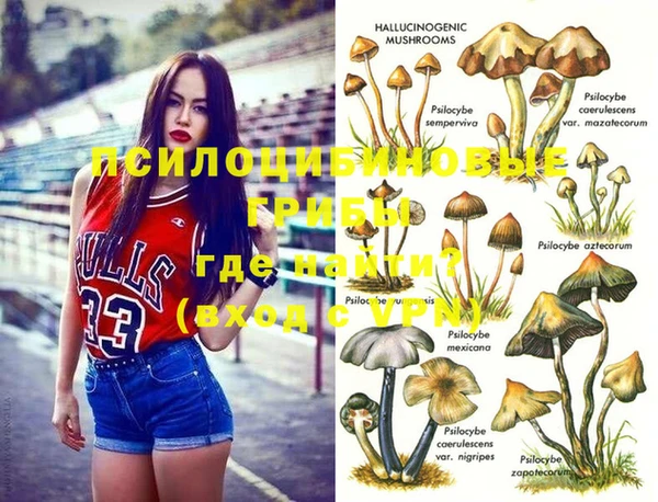 меф Богородицк