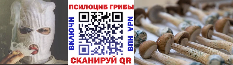 Псилоцибиновые грибы GOLDEN TEACHER Кировск
